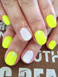 TERRACE Design Collection