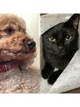ソトリラ(sotoRELA)&nbsp;保護猫のたんごちゃんと老犬のらんまる君です♪