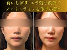 やなけん 亀戸店