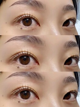 エイミー バイ ネオリーブ(Amy by neolive)/ハリウッドブロウリフト