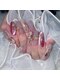 イルネイル 横浜関内(ill nail)の写真/プチプラハイクオリティ◎指先を美しく見せる圧巻の技術をお得に体験【ワンカラー/カラグラ4500円~】