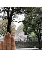 桃の木 吉祥寺店/お向かいの月窓寺の桜と手