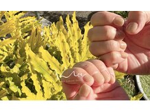 クレー(Klee)/美ワンカラー