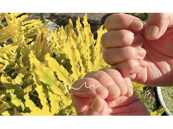 クレー(Klee)/美ワンカラー