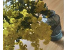 リファイン(Refine)の雰囲気（→）