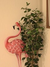 フラフラ(FLA FLA)&nbsp;小林 