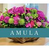 アミューラ(AMULA)のお店ロゴ
