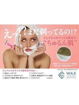 カイユウ(kaiyu)/フェイシャルワックス脱毛