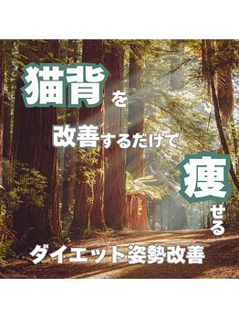 はたらくからだ研究所/猫背を改善するだけで痩せる!?