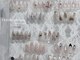 ルヴィア(Luvia.)の写真