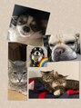 フリージア バイ レ ヴィエリス(Freesia. by Re'VIELISS) 犬2匹、猫3匹もいます！動物、爬虫類大好きです♪