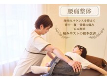 シカ(CICA)