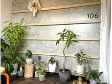 トロ(toro)の雰囲気（店内フロアは植物がお出迎え）