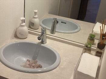 アントラージュココロ(Entourage 心)/洗面所