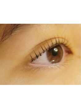 初めての方にオススメ