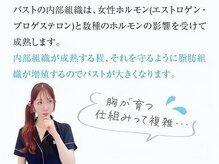 内部組織は女性ホルモンと深く関わっている！！