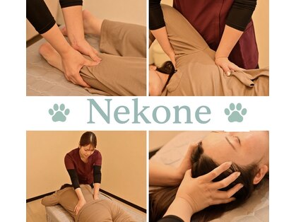 ネコネ(Nekone)の写真