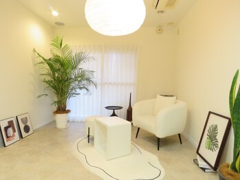 ポインセチア(Poinsettia)/