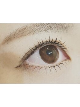 初めての方にオススメ