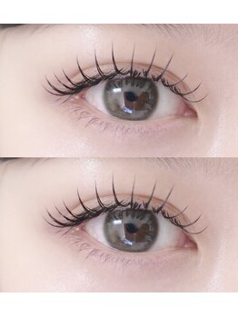 ロブ 自由が丘(LOB)/フラットラッシュ160本