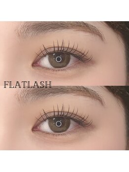 サラ(Sala)/フラットラッシュ120本