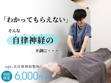 オプト(opt.)