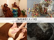 クスノキ(9sの木)