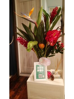 B.B藤沢 レオスタイル(LeoStyle)/LINE公式アカウントあります