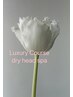 120min 【筋膜リリース】ラグジュアリーフルコース　¥14,000→¥11,900