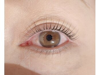 ペルシャ(Persian)/お客様デザイン(担当:宮井)