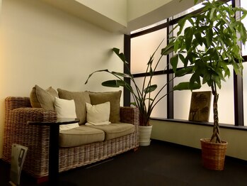 ヴィベル(vi Belle)/南青山の落ち着いた空間