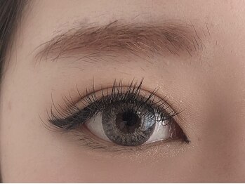 リビング(LIVING)/【フラットラッシュ120本】