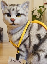 ボンズ(Bonds) まゆ