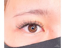 モーブ(mauve)/パーフェクトラッシュ１５０束