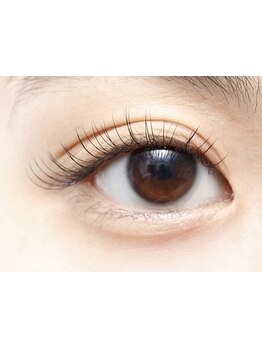 初めての方にオススメ