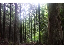 ひのきばこ/奈良県吉野天然ヒノキ100%