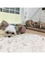 マキア 大宮店(MAQUIA) 愛犬が二匹います!一緒に遊んで癒されてます☆