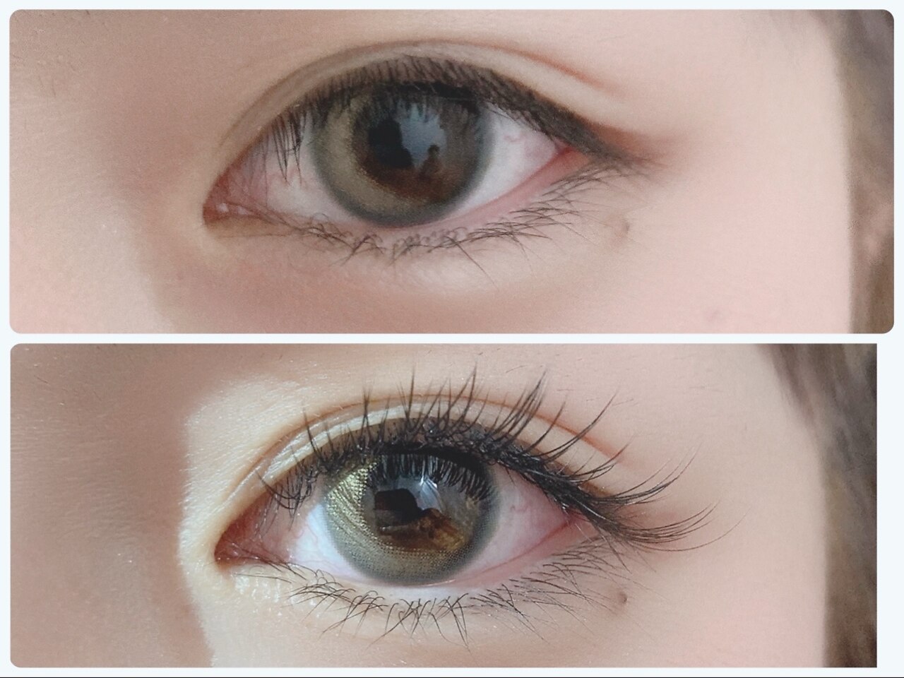 ペペアイラッシュ(Pepe eye lash)｜ホットペッパービューティー