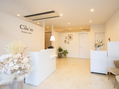 シーレ(Cile'm)の写真
