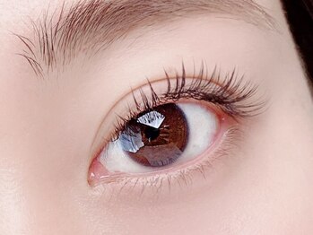 ウィル 二子新地(will)/ダメージレスラッシュ