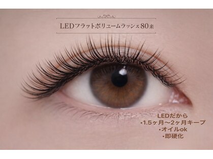 チック(chick)の写真