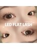 LEDエクステ*100本(オフ・美容液コーティング込)¥6500→¥6000