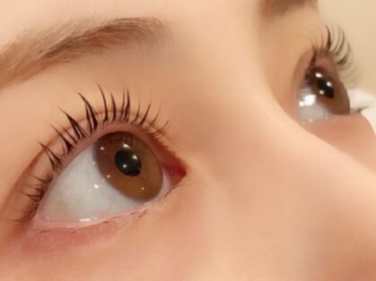 ルル(LULU)の写真