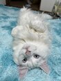 サロン ルポ(salon repos)&nbsp;私が溺愛してる愛猫です(*^^*)いつも家で癒されております。