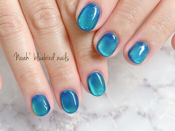ノアブルーバードネイルズ(Noah' bluebird .nails)/マグネットネイルでお洒落な手元