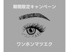 【オススメ】流行の束感♪ワンホンエクステ140本（オフ無料） ¥6980