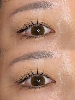 アイラッシュプラン リノ(eyelash plan RINO)/メーテルロッド