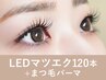 【新規】<フラットラッシュ>LEDマツエクパーマ120本135分¥14,900→