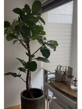 ルナ(LUNA)/1F salon space