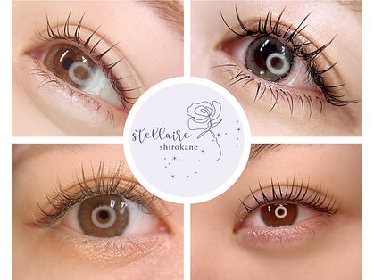 ステリア シロカネ(Stellaire shirokane)の写真